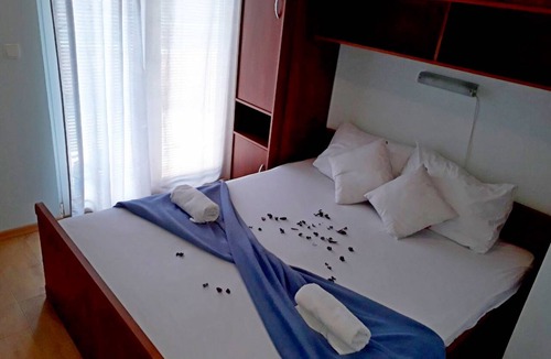 Privlaka Apartment | 24 m² Apartment ∙ 1 bedroom ∙ 3 guests