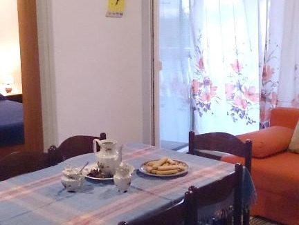 Privlaka Apartment | 3 bedrooms appartement at Privlaka 250 m away from the beach with sea view enclosed garden and wifi
