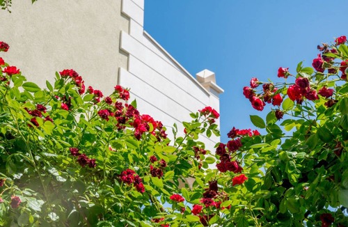 Businci Apartment | 80 m² Apartment ∙ 2 bedrooms ∙ 4 guests