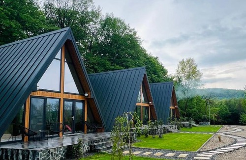 Vadu Crisului House | A-frame Marisa Vadu Crisului