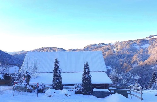 Lupsa House | A special place to retreat and detox daily activities