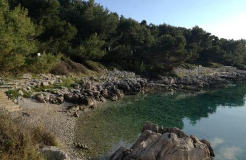Cove Murtar Apartment | Abba Apartments