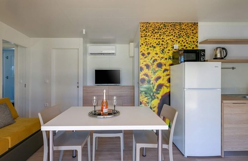 Karigador House | Adriamar Mobile Homes in Camping Park Umag /Adriamar 2443 Park Umag
