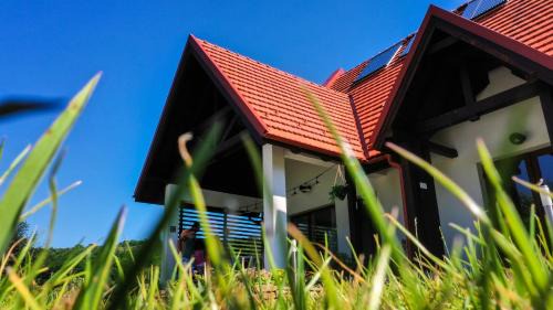 Ozun Villa | AGROPENSIUNEA LIZNO - escape from the urban jungle