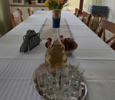 Ozun Villa | AGROPENSIUNEA LIZNO - escape from the urban jungle