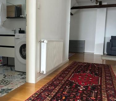 Velika Gorica Apartment | Airport APARTMAN LILI