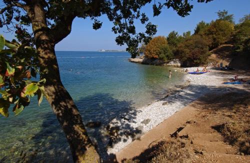 Lanterna Resort | Albatross Mobile Homes on Valamar Camping Lanterna