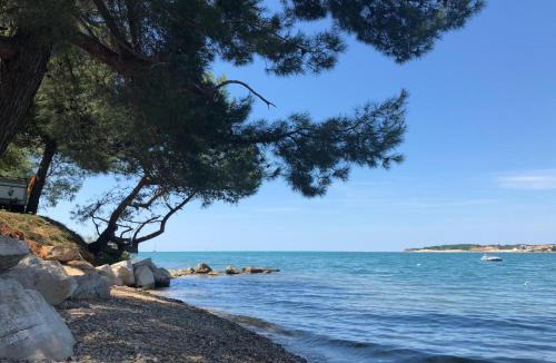 Lanterna Resort | Albatross Mobile Homes on Valamar Camping Lanterna