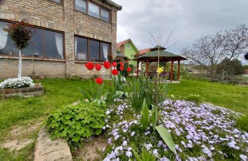 Inija House | ALI apartmani R&H