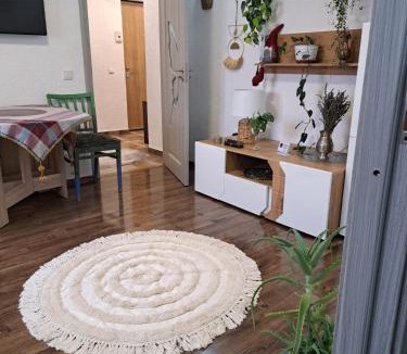 Medias Apartment | Apartament Cozy