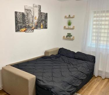 Falticeni Apartment | Apartament Fălticeni