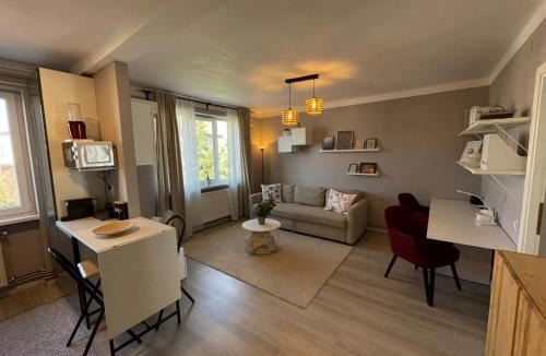 Tirgu Mures Apartment | Apartament Loft Ultracentral Târgu Mureș
