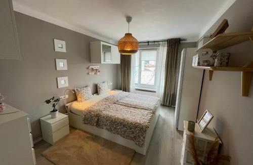 Tirgu Mures Apartment | Apartament Loft Ultracentral Târgu Mureș