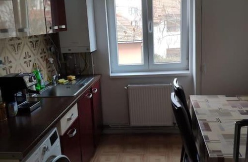 Emanoil Gojdu Apartment | Apartament renovat confortabil