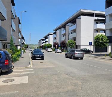 Sinnicoara Apartment | Apartament zona aeroport