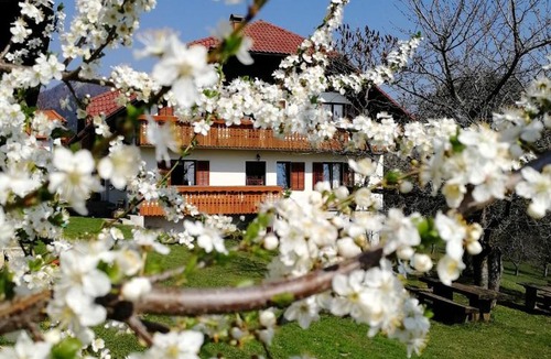 Mozirje House | Apartma Lesjak - pobeg v naravo 2
