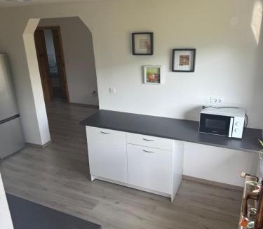 Zelezniki Apartment | Apartma Petra