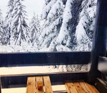 Zrece Apartment | Apartma Rogla Gaber 63