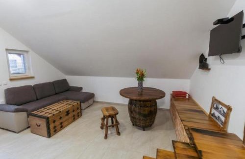 Ormoz Apartment | APARTMA Viktor