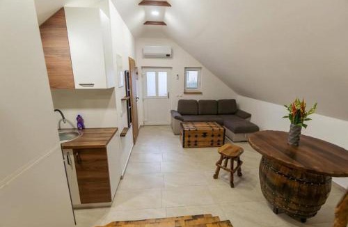 Ormoz Apartment | APARTMA Viktor