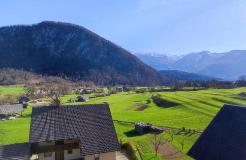 Srednja Vas v Bohinju Apartment | Apartmaji Mojca