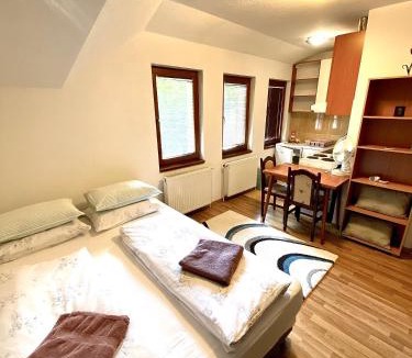 Canton 10 Apartment | Apartman Željo 1