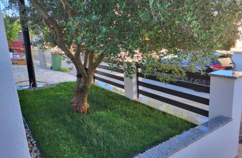 Rovanjska Apartment | Apartman Anabella