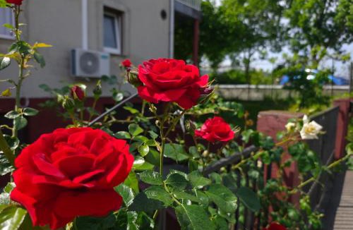 Zagreb Apartment | Apartman Gajnice Zagreb