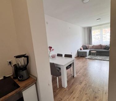 Bistrica Apartment | Apartman Jovana