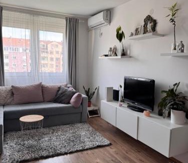 Bistrica Apartment | Apartman Jovana