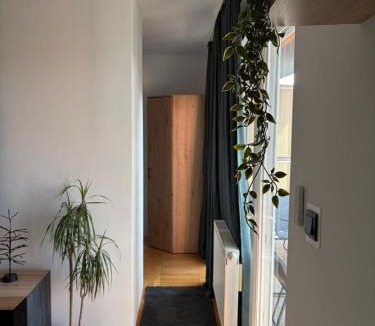 Osijek Apartment | Apartman *Joy*