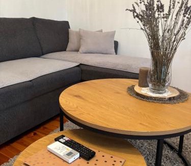 Brdovec Apartment | Apartman Jugi