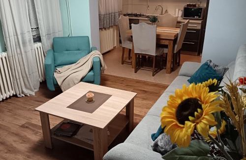 Pozega Apartment | Apartman Kraljević