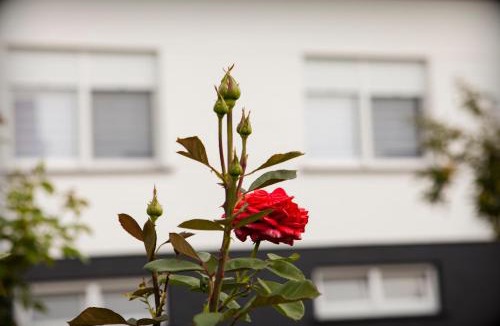 Mala Subotica Apartment | Apartman Kuća 150