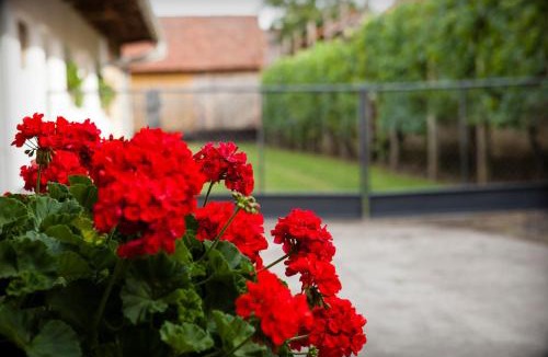 Mala Subotica Apartment | Apartman Kuća 150