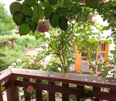 Plaski Apartment | Apartman Latin 2