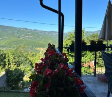 Zlatibor Apartment | Apartman Milanović