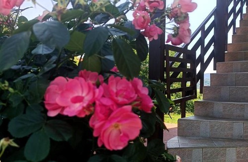 Bedekovcina Apartment | Apartman Petra Zabok