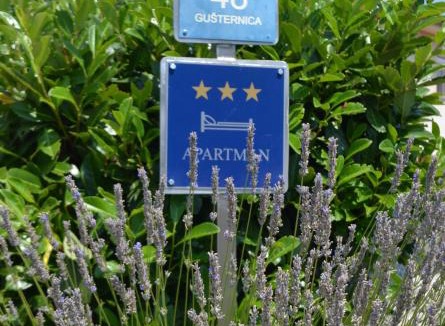 Vrh Apartment | Apartman Renata