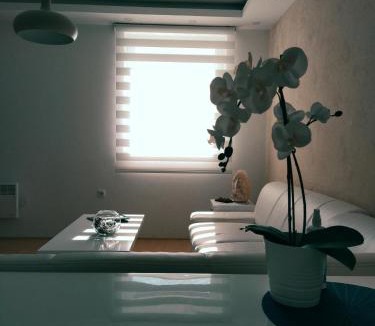 Lisina Apartment | Apartman Teodora
