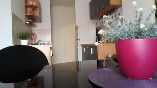 Borovo Apartment | Apartman VEGA