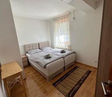 Pozega Apartment | Apartman Vidić
