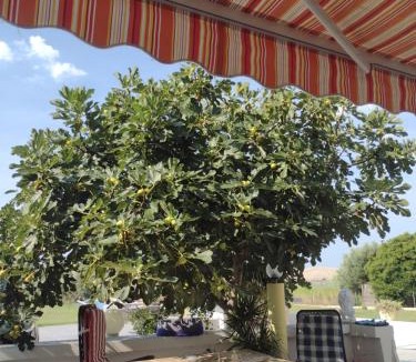 Dinjiska Apartment | APARTMANI ALEN