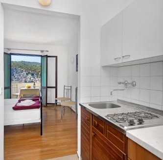 Pokrivenik Apartment | Apartmani Cico