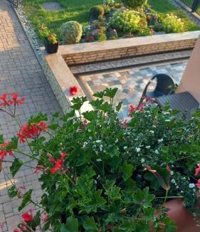 Bjelovar Apartment | Apartmani i Sobe Kočiš
