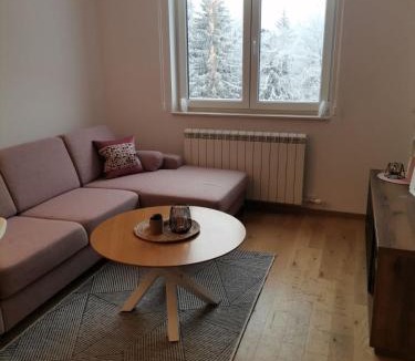 Jahorina Apartment | Apartmani Košuta- Ljiljana Đokanović