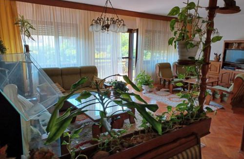 Osijek Apartment | Apartmani La Sa