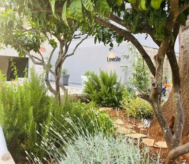 Loviste Apartment | Apartmani Roxy