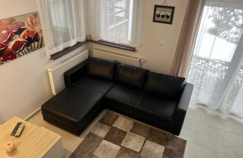 Slavonski Brod Apartment | Apartment Adi