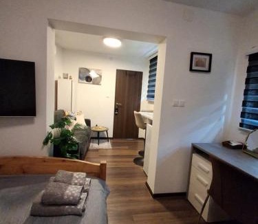 Sracinec Apartment | Apartment Allapera